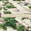 Sale One Hundred Stars Acer Green Velvet Throw
