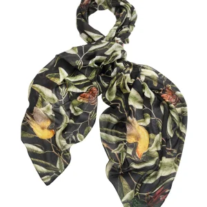 Best Sale One Hundred Stars Kew Evergreen Black Scarf